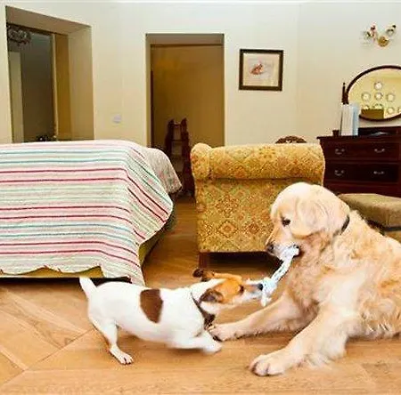 House Hotel 4*